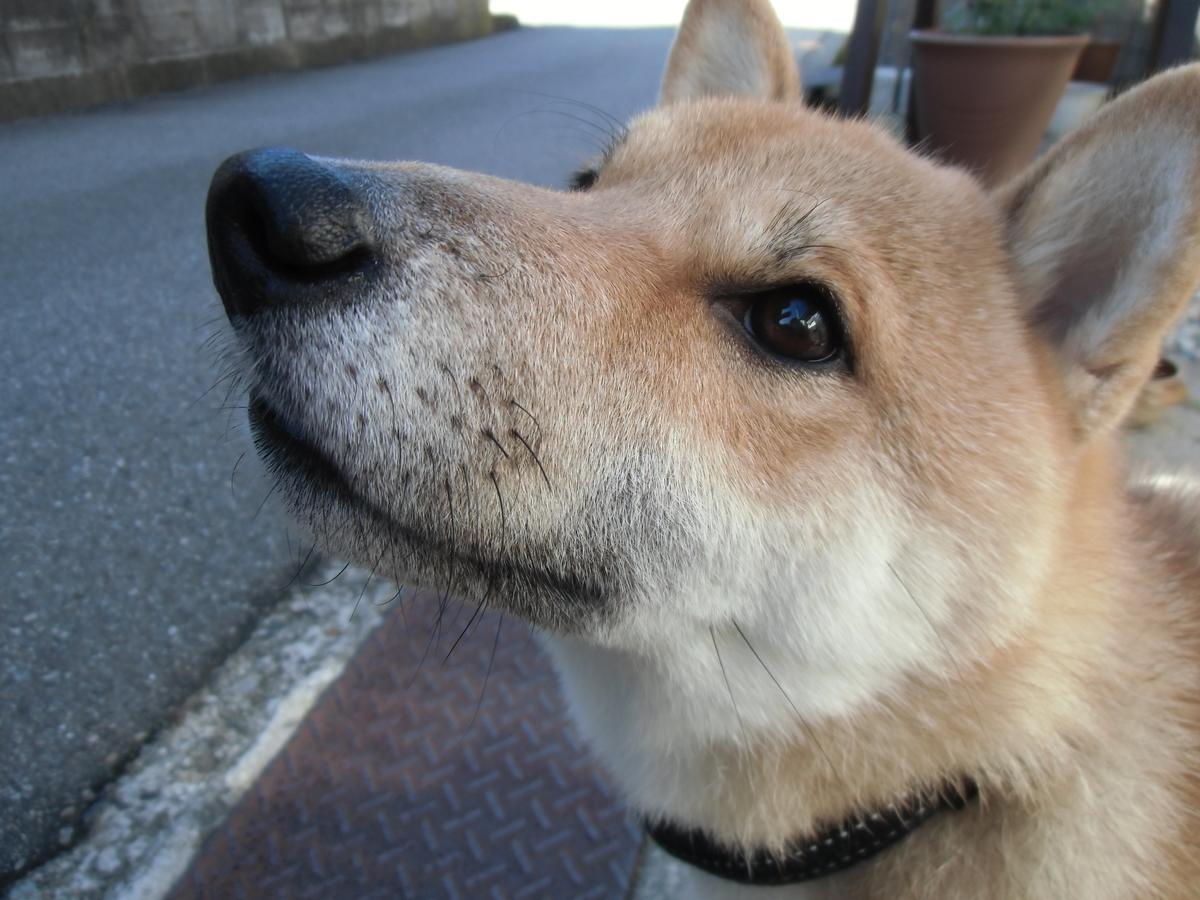 Kanazawa Share House Gaooo Εξωτερικό φωτογραφία