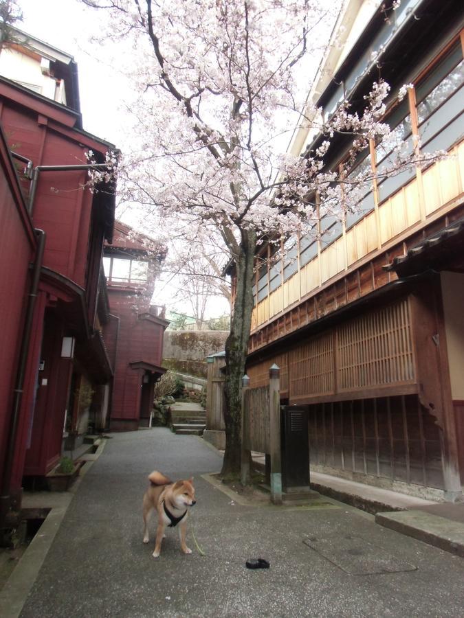 Kanazawa Share House Gaooo Εξωτερικό φωτογραφία