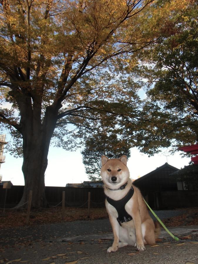 Kanazawa Share House Gaooo Εξωτερικό φωτογραφία