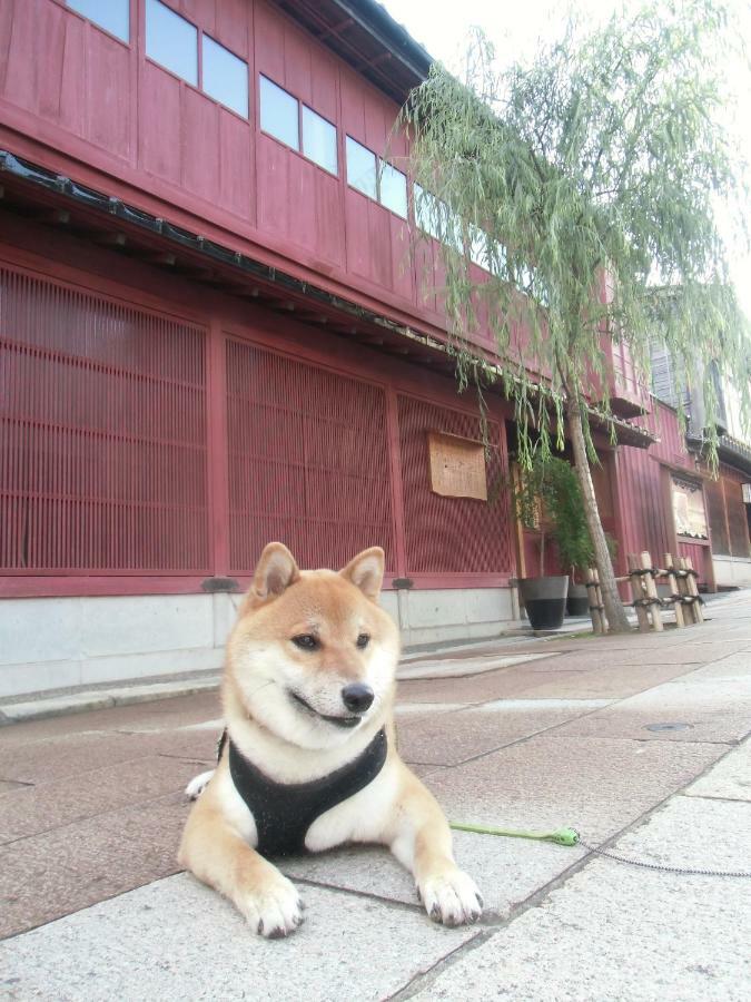 Kanazawa Share House Gaooo Εξωτερικό φωτογραφία